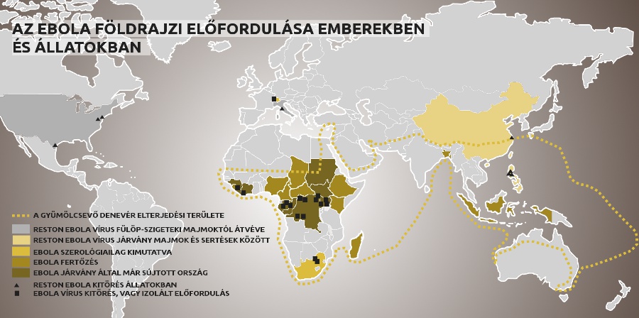 ebola térkép