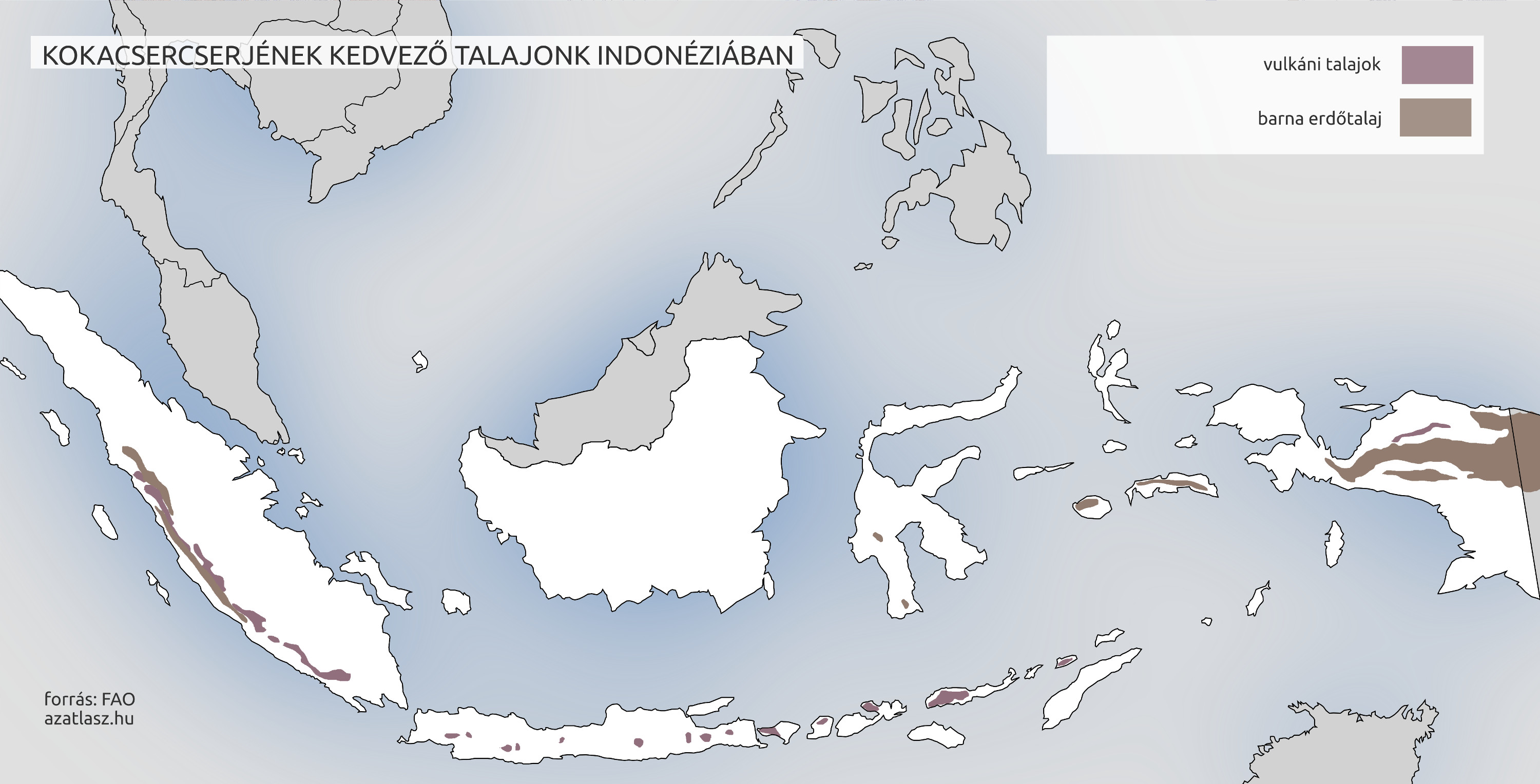 indonezia majalzia kokain kokacserje